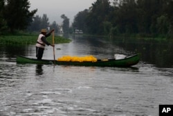 A farmer moves his harvest of squash flowers through the channels of Xochimilco in Mexico City, July 13, 2017.