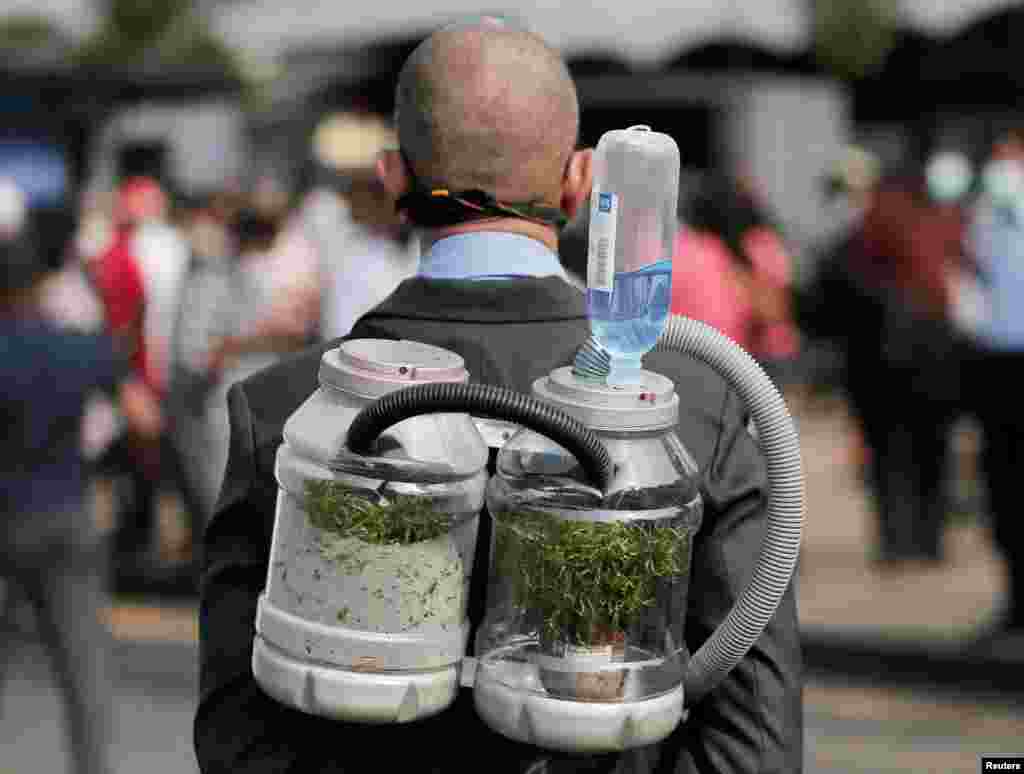 A climate activist wears an oxygen mask to demonstrate the possibility of pumping oxygen from a tree in a bottle, during a protest against the government&#39;s deforestation practices of Sri Lanka&#39;s main wildlife forests for developments in Colombo.