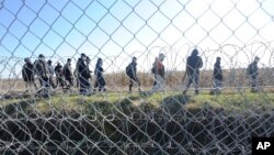 Migranti na granici Mađarske i Srbije