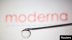 Moderna logo is reflected in a drop on a syringe needle