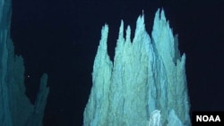 Spectacular, long-lived "Lost City" vents, showing accretion of vent-building carbonate. Earth's first life may have developed around vents such as these. 