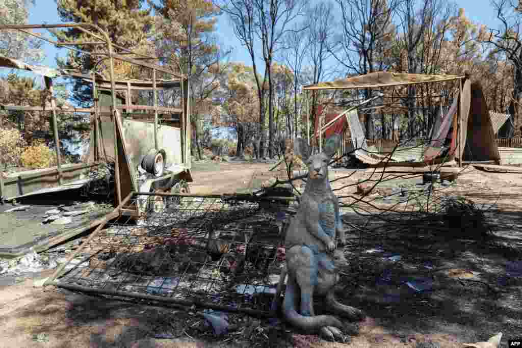 An ornamental statue of a kangaroo stands in the yard of a razed house after bushfires in Gidgegannup, some 40 kilometers north-east of Perth, Australia.