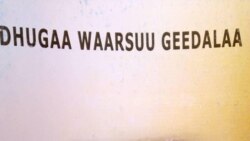 ‘Dhugaa Waarsuu Geedalaa’ kitaaba dansooma,qaroomaa,jabeenna,tokkummaa aadaa fi seenaan qabdu keessatti barreessan