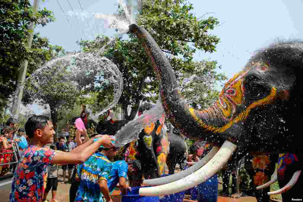 Seorang anak laki-laki dan seekor gajah saling menyiram air dalam perayaan festival air Songkran di provinsi Ayutthaya, Thailand (11/4). (Reuters/Jorge Silva)