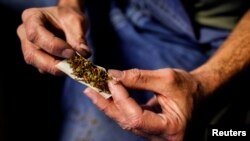 Los estados del occidente del país son los que reflejan las cifras más altas de consumo de marihuana, en donde se encuentra California y Nevada, mientras que en el sur las cifras suelen ser más bajas.