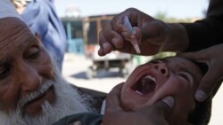 A New Deadly Kind of Polio