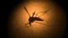 Tech Companies Wage War on Disease-carrying Mosquitoes