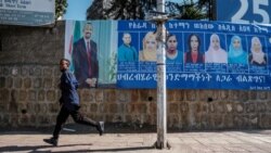 EU Cancels Deployment of Observers to Ethiopia Elections
