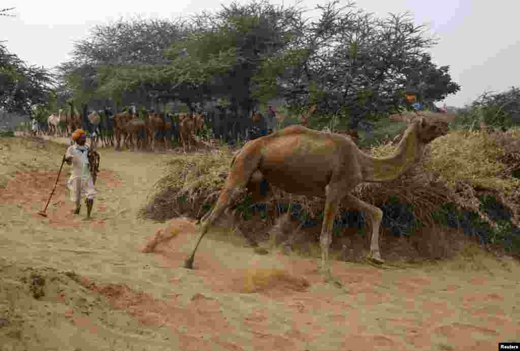  اس میلے کے اواخر میں مذہبی رسومات بھی ادا کی جاتی ہیں۔