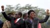 Mugabe's Wife Poised to Take Role in Zimbabwe's Ruling Party