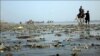 کراچی کے ساحل پر ’ تیل آگیا‘، وائلڈ لائف کے لیے خدشات