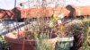 Roof Top Gardening is a Growing Trend in New York City