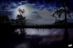 This is more like it: French Lake in Concordia Parish. All you need is a hoot owl to give you the eerie feeling of a Louisiana swamp at night.