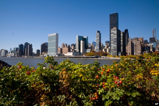 El horizonte de la ciudad de Nueva York visto desde el Parque Franklin D. Roosevelt Four Freedoms, el 8 de noviembre de 2018, desde Nueva Jersey a través del East River.