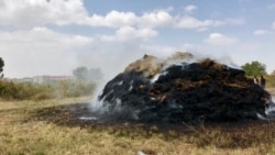 Friday’s airstrike, witnesses say, hit a farmer’s field near a fenced off area on the eastern side of Mekelle University. (Horn of Africa Service/VOA)