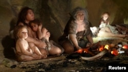 FILE - An exhibit shows the life of a Neanderthal family in a cave, in the new Neanderthal Museum in the northern town of Krapina, Croatia.