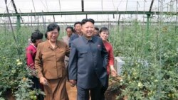 [인터뷰: 권태진 GS&J 북한동북아연구원장] 북한 '가족중심 영농제' 공식화 배경