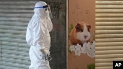 A worker from the Agriculture, Fisheries and Conservation Department walks past a pet shop which was closed after authorities said some pet hamsters tested positive for the coronavirus, in Hong Kong, Tuesday, Jan. 18, 2022. (AP Photo/Kin Cheung)
