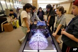 Teenagers look at the features of a virtual cadaver on the "Anatomage" table at the The University of Michigan Taubman Sciences Library in Ann Arbor, Michigan, May 20, 2016.