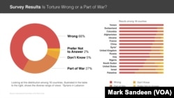 Survey: Torture and War