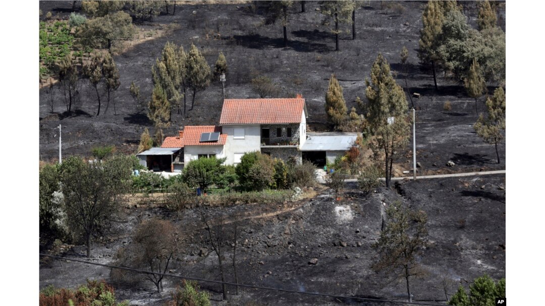 A house that escaped a recent forest fire stands out against the burnt ground in Serra do Macario, central Portugal, June 20 2017.