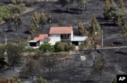 A house that escaped a recent forest fire stands out against the burnt ground in Serra do Macario, central Portugal, June 20 2017.