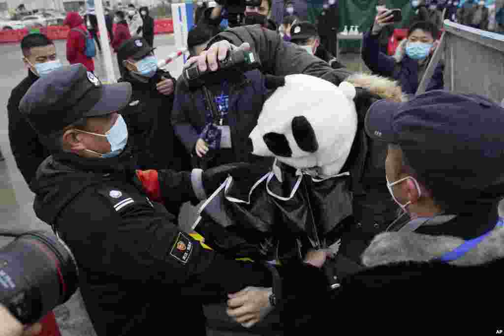 Security personnel struggle with a journalist wearing a panda design covering at the Baishazhou wholesale market during a visit by the World Health Organization team on their third day of field visit in Wuhan in central China&#39;s Hubei province.