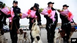 FILE - Chinese policewomen with sniffer dogs pose with flowers received on International Women's day during the second plenary session of the National People's Congress held in Beijing, March 8, 2012.