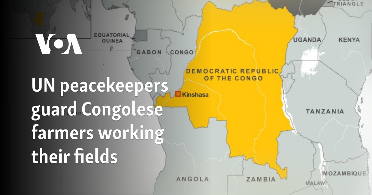 UN peacekeepers guard Congolese farmers working their fields