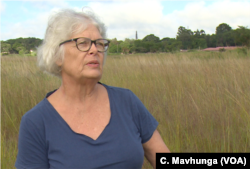 Dorothy Wakeling of the conservation group Harare Wetlands Trust says people are disturbing wetlands which are supposed to be gradually releasing water into the city’s water bodies.