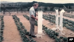 This 1971 photo provided by The World Food Prize Foundation shows Dr. Daniel Hillel introducing drip irrigation in Japan. Hillel, who is credited with developing drip irrigation methods that conserve water while allowing food to be grown in some of the w