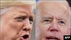 Trump Biden