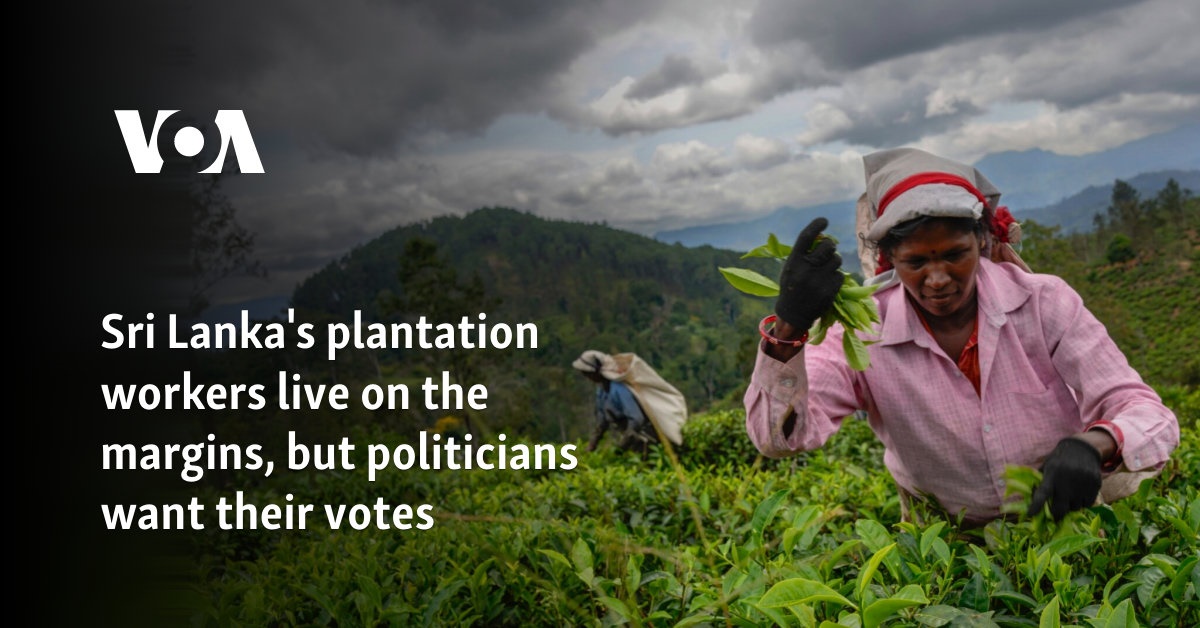 Sri Lanka's plantation workers live on the margins, but politicians want their votes