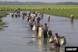 Rohingya refugees