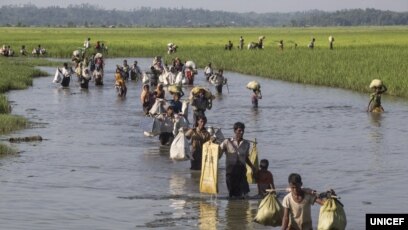 Người tị nạn Rohingya.