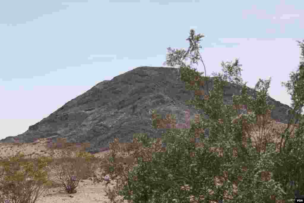 Moxave cho&#39;lida joylashgan milliy park, Kaliforniya shtati