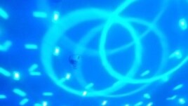 University of Panama professor Joel Alvarez, during one of his virtual 