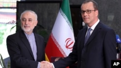 알리 아크바르 살레히 이란 부통령 겸 원자력청장과 코르넬 페루타 국제원자력기구(IAEA) 사무총장 대행이 8일 이란 테헤란에서 만나 악수하고 있다. 