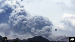 Núi lửa Kelud phun trào, nhìn từ làng Anyar ở Blitar, Đông Java, Indonesia, 14/2/2014