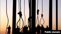 پاکستان در سال ۲۰۱۶ در میان پنج کشوری شامل بود که بیشترین مجازات اعدام را تطبیق کرده است