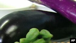 The taste of vegetables
ຣົດຊາດຂອງພືດຜັກ