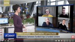 一些支持中国叙述的社交媒体博主与中国中央电视台主持人刘欣对话。（资料照） 