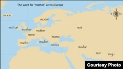 (Click to enlarge) This map shows the distribution of words across Europe for ‘mother.’ By modeling the evolution of hundreds of such words through time, we can infer relationships between all the languages and trace back to the origin of the family. (Q.D. Atkinson)