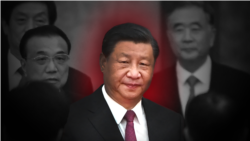 放眼中共二十大：反习势力今何在<br />
