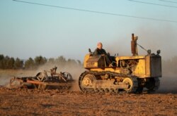 FILE - A farmer ploughs a wheat field in the countryside of the northeastern city of Qamishli, Sept. 18, 2021. Low rainfall in parts of Syria means farmers have reaped dismal wheat harvests this year.