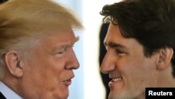 FILE - Canadian Prime Minister Justin Trudeau is greeted by U.S. President Donald Trump prior to holdiing talks at the White House in Washington, Feb. 13, 2017.