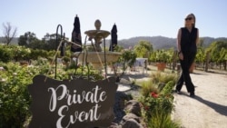 Event planner Janice Twomey looks over a garden area where weddings were often held at Brix Napa Valley near Oakville, Calif., on Thursday, Oct. 15, 2020. (AP Photo/Eric Risberg)