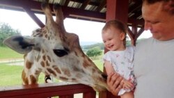 Pengunjung berinteraksi dengan jerapah di Taman Safari Virginia, AS (foto: Facebook).