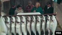 Alaska Fishing 