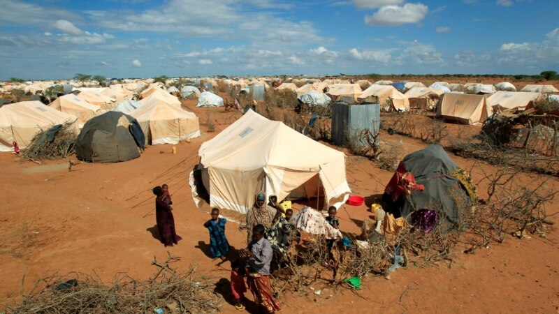 De retour au Kenya, des milliers d'ex-réfugiés somaliens sont sans aide
